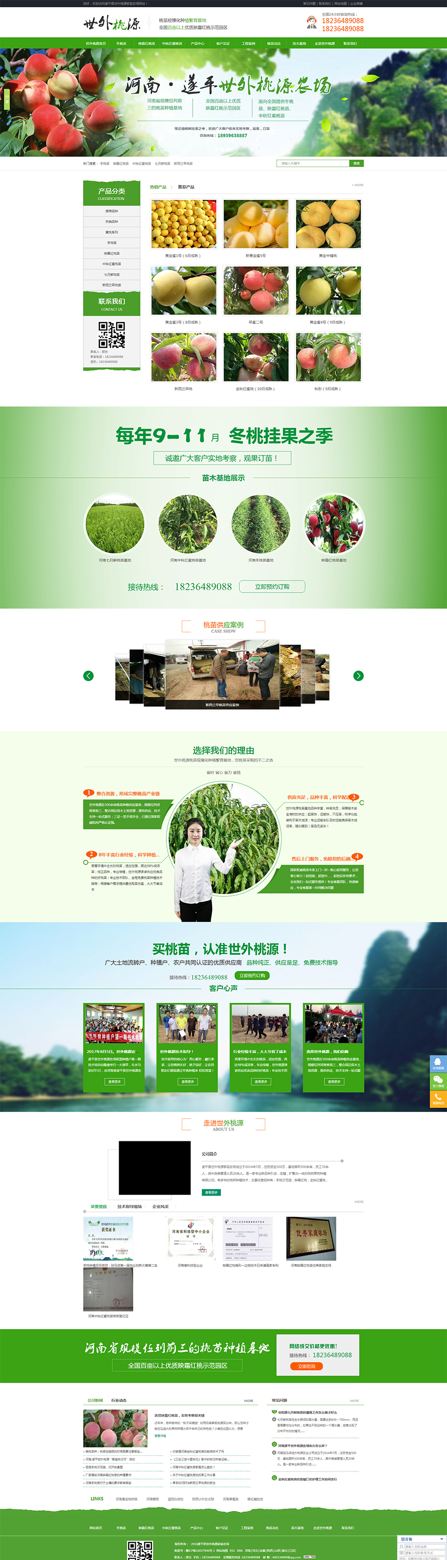河南冬桃苗,河南映霜紅桃苗,河南中秋紅蜜桃苗_遂平縣世外桃源家庭農場.jpg